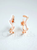 Branch Hoops (More Metals)