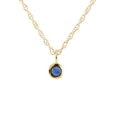 Tiny Birthstone Charm Necklace