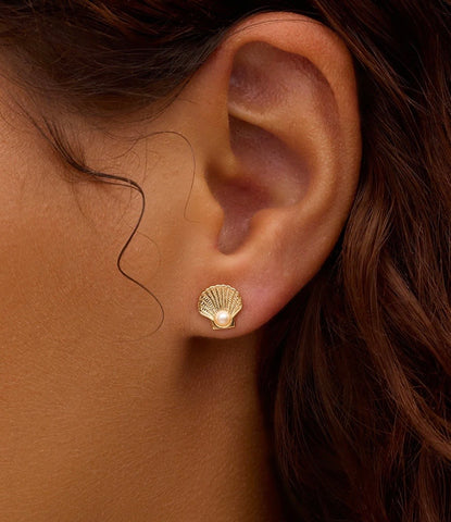 Scallop Pearl Stud