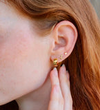 Anchor Studs