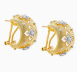 Ivanie Hoops